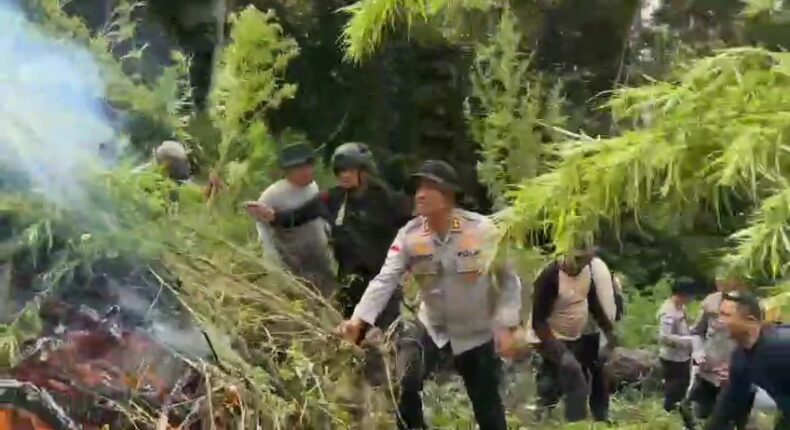 foto slider headline